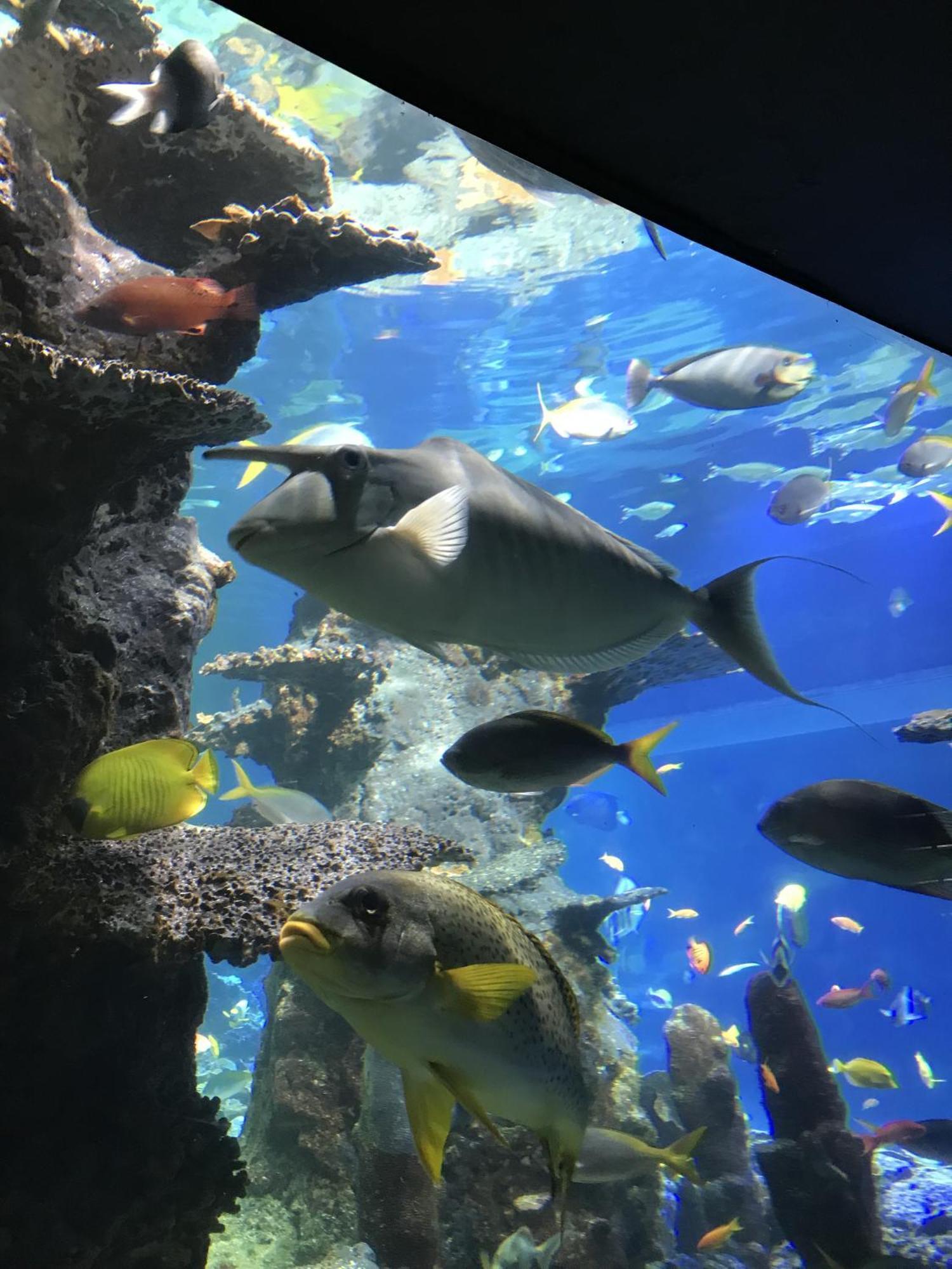 Maison Familiale Proche Nausicaa บูโลญ-ซูร์-แมร์ ภายนอก รูปภาพ